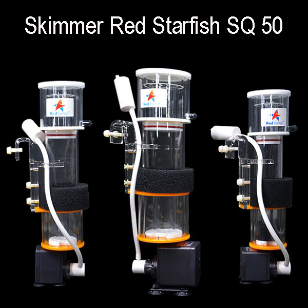 Skimmer cho bể cá red starfish sq 50