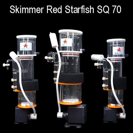 Skimmer cho bể cá red starfish sq 70