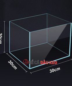 Bể cubic 30 siêu trong 1 mặt