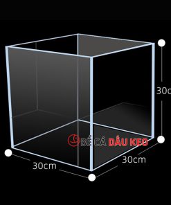 Bể cubic 30 siêu trong 3 mặt