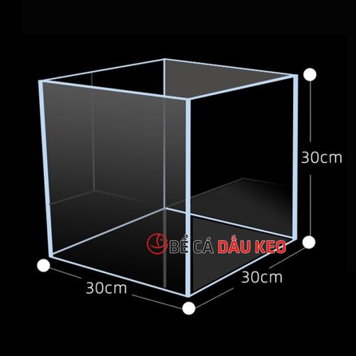 Bể cubic 30 siêu trong 3 mặt