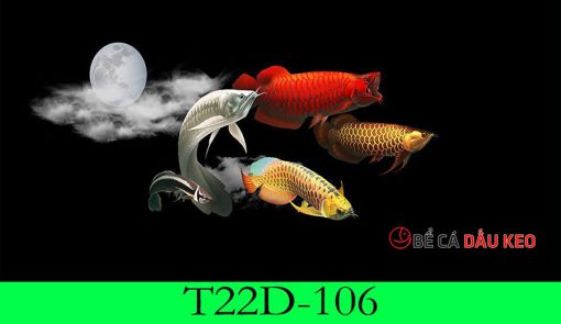 Tranh 3d bể cá rồng T22D-106