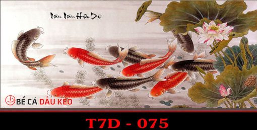Tranh 3D cho hồ cá chép cảnh T7D-75