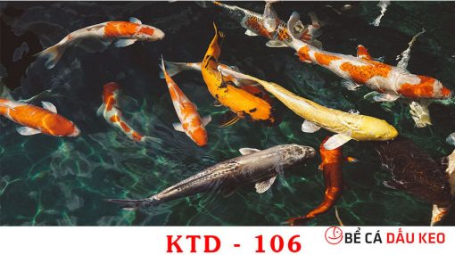 Tranh 3d hồ cá koi KTD-106