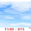 tranh bầu trời 3d T14D-75