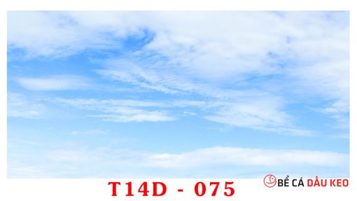 tranh bầu trời 3d T14D-75