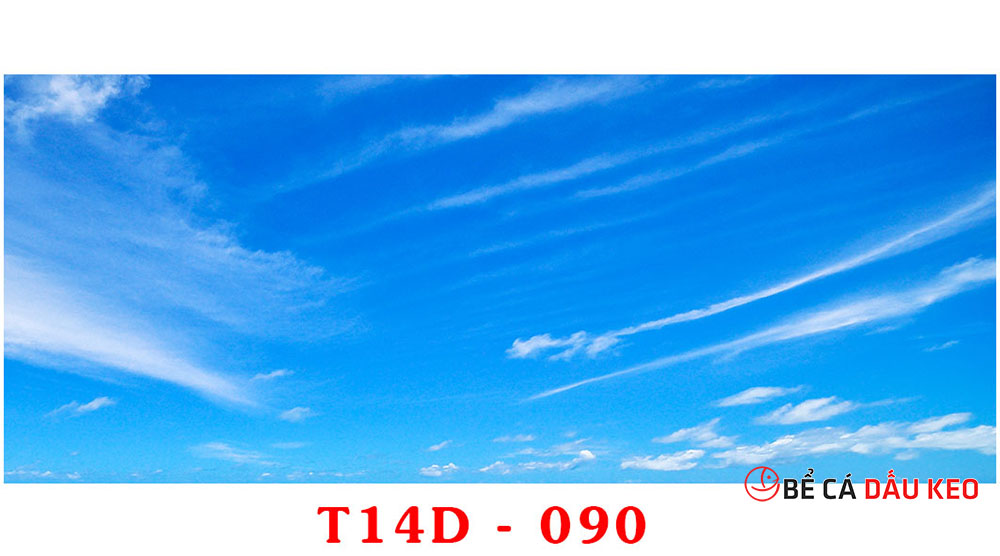tranh bầu trời 3d T14D-90