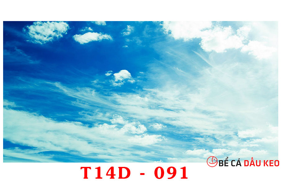 tranh bầu trời 3d T14D-91