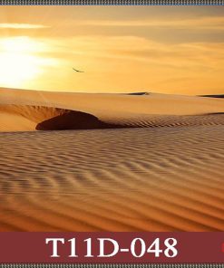 Tranh sa mạc 3D T11D-48
