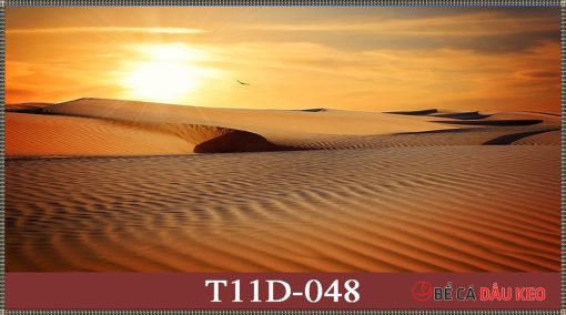Tranh sa mạc 3D T11D-48