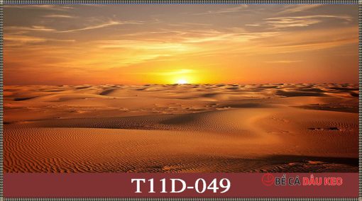 Tranh sa mạc 3D T11D-49