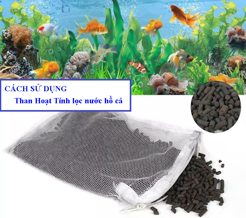 Cách sử dụng than hoạt tính lọc nước hồ cá cực hiệu quả