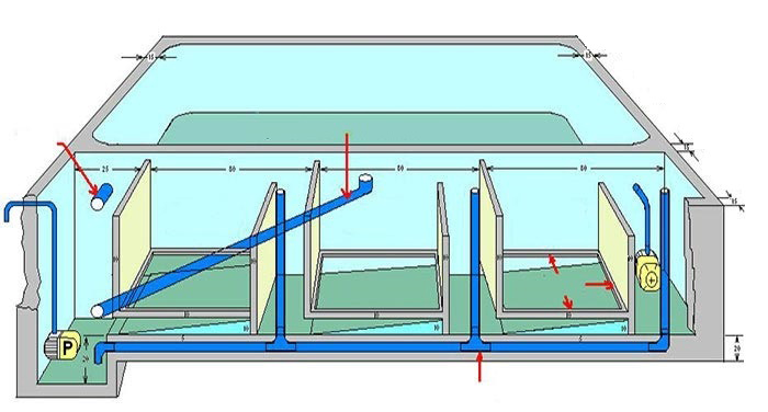 Chi tiết hệ thống lọc nước hồ cá koi ngoài trời chuẩn kỹ thuật