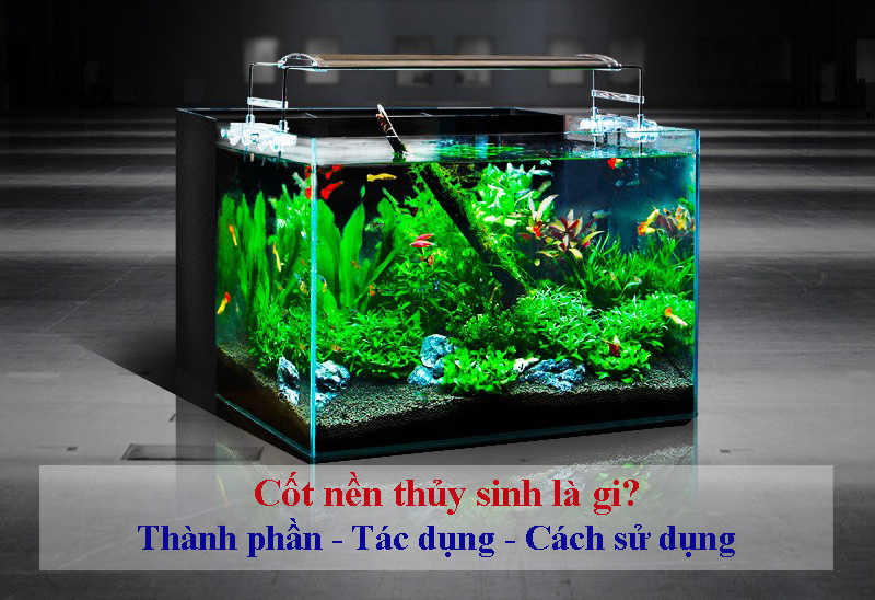 Cốt nền thủy sinh sử dụng trong bể cá như thế nào?