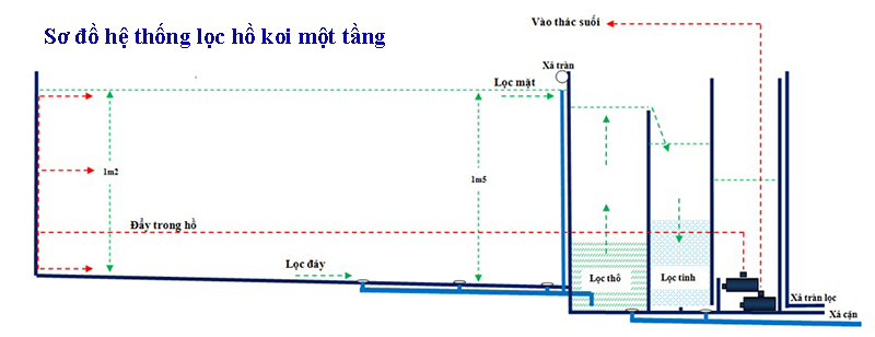 Sơ đồ hệ thống lọc nước hồ koi một tầng