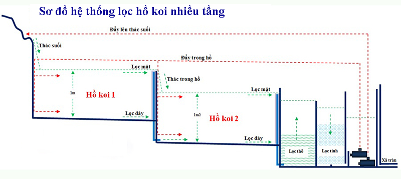 Sơ đồ hệ thống lọc nước hồ koi nhiều tầng