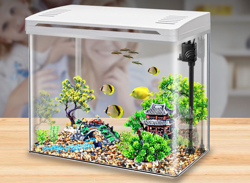 Fish tank là gì: Tất cả mọi thứ bạn cần biết