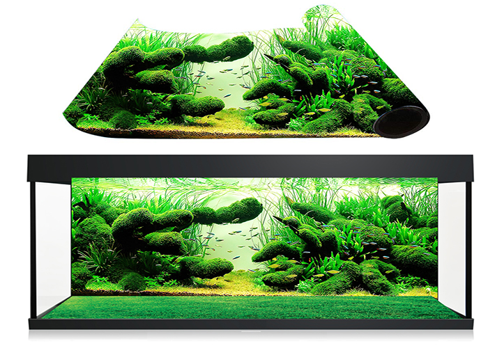Hướng dẫn chi tiết cách dán tranh 3D bể cá bền đẹp