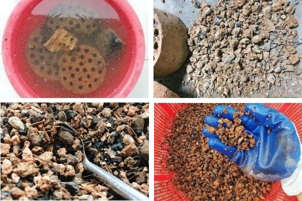 Cách xử lý xỉ than tổ ong để nuôi cá