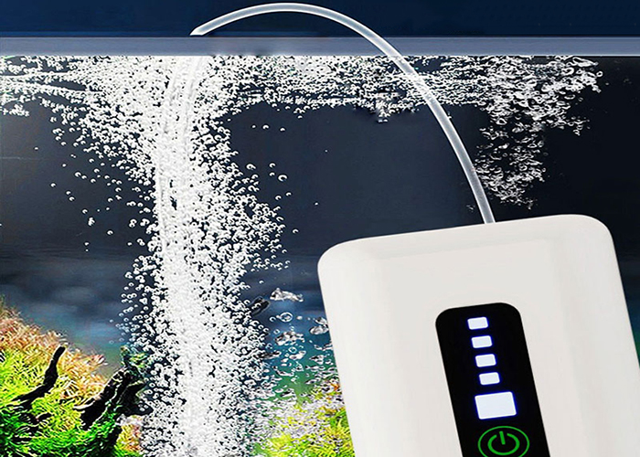 máy tạo oxy cho bể mini Cách sử dụng máy tạo oxy cho bể mini