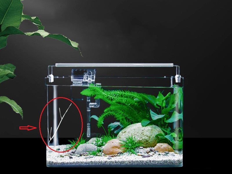xóa vết nứt trên kính Cách xóa vết nứt trên kính bể cá - Hướng dẫn chi tiết