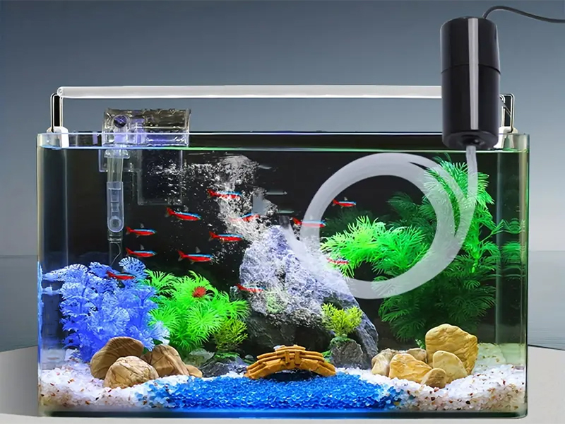Máy tạo oxy cho bể cá mini: Hướng dẫn lựa chọn loại phù hợp