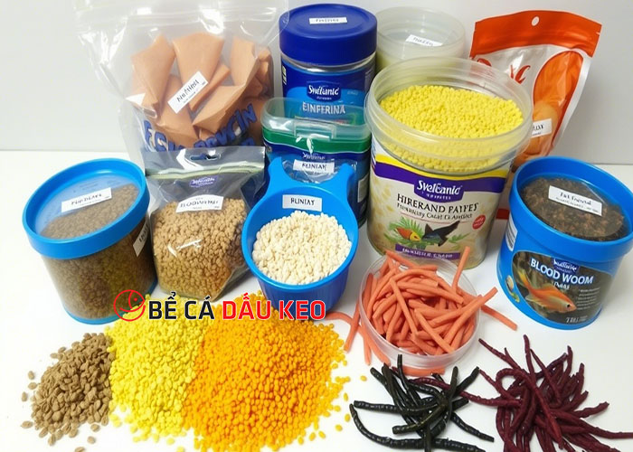 các loại thức ăn cho cá cảnh