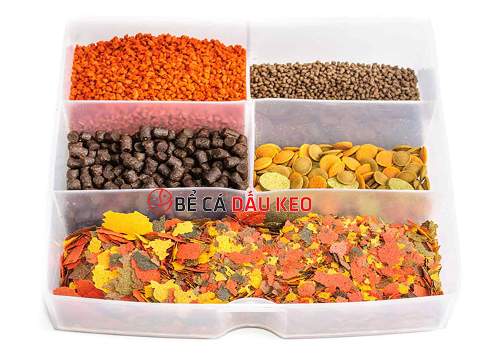 cách chọn thức ăn cho cá cảnh