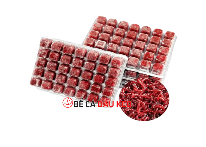 thức ăn đông lạnh cho cá cảnh