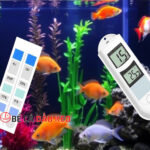 Các phương pháp để điều chỉnh nồng độ pH cho bể cá thuỷ sinh