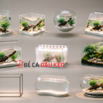 10 mẫu bể cá mini để bàn làm việc đẹp nhất 2026