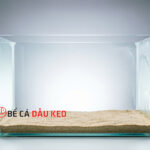 Cách xử lý bể cá mới dán keo sạch mùi, không độc hại