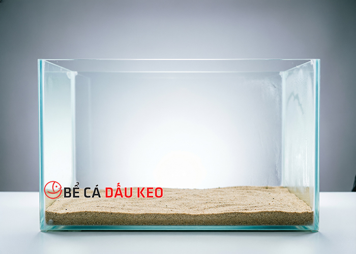 Cách xử lý bể cá mới dán keo sạch mùi, không độc hại