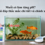 Muối có làm tăng pH? Giải đáp thắc mắc chi tiết và chính xác