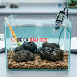 Nham thạch làm tăng hay giảm pH và cách sử dụng hiệu quả