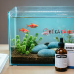 Thuốc làm giảm độ pH trong nước hiệu quả, giá tốt nhất