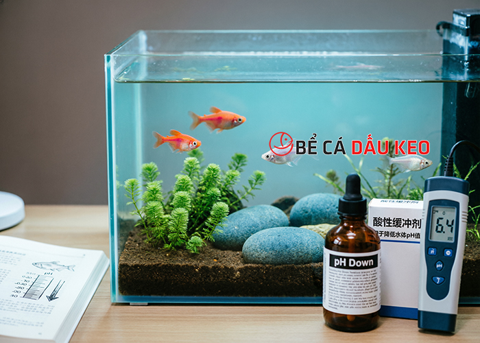 Thuốc làm giảm độ pH trong nước hiệu quả, giá tốt nhất